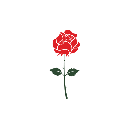 Amount of Roses