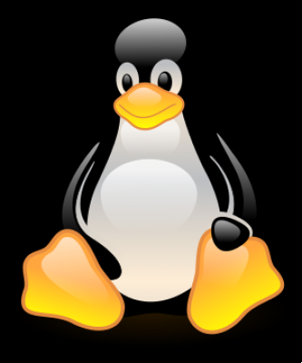 Comment installer Linux - Guide étape par étape