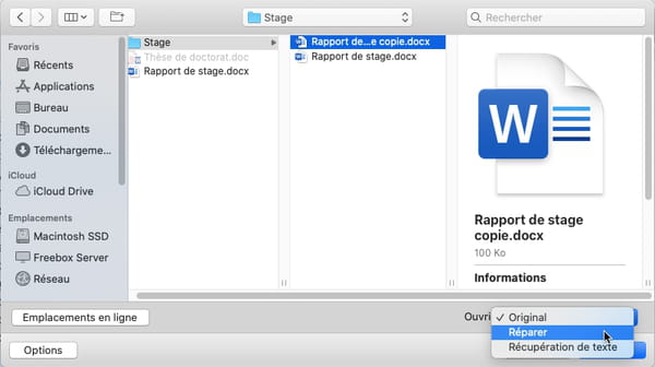 Corrupted Word File: How to Open Unreadable Document