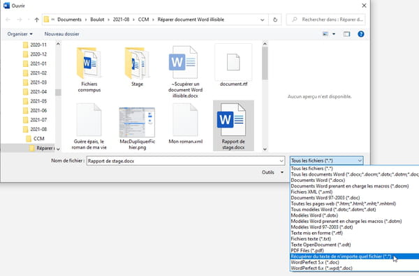 Archivo de Word dañado: cómo abrir un documento ilegible