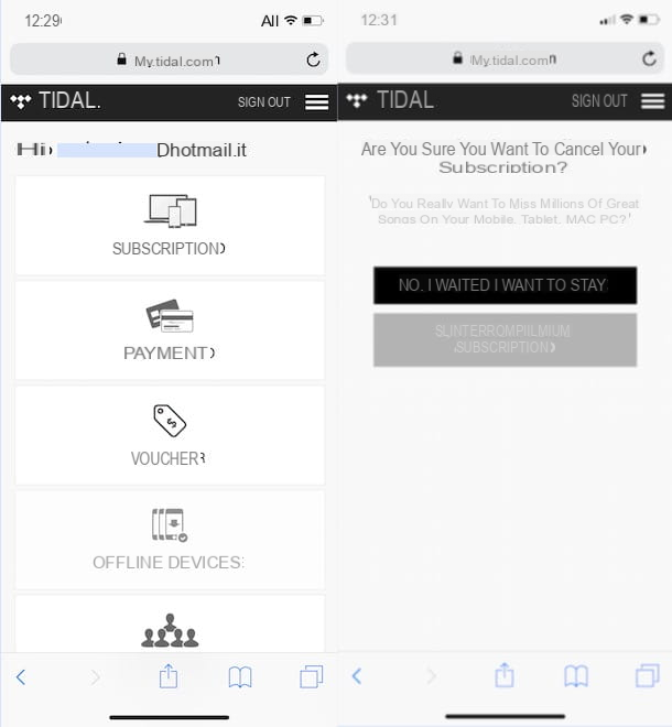 Cómo deshabilitar Tidal