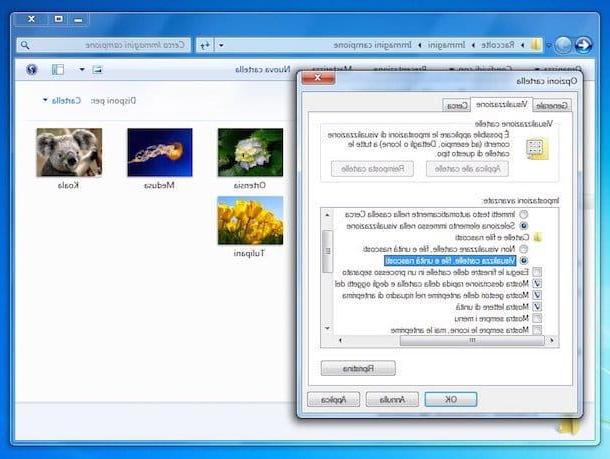 How to view hidden files in Windows 7