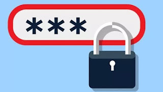 Store passwords and logins to websites in a safe and secure way