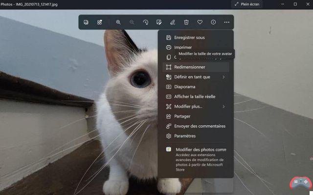 Windows 11: la nueva aplicación Fotos está disponible, aquí se explica cómo descargarla